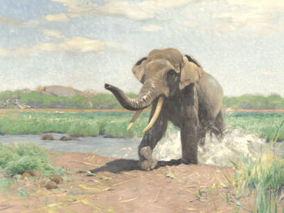 Wilhelm Kuhnert, Indian elephant emerging from water, no date. Courtesy of the Nelson-Atkins Museum
