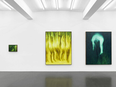 Xie Lei, Désarroi, exhibition view. Courtesy of Sies + Höke