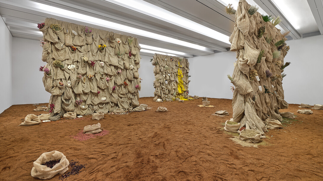 Solange Pessoa, Catch the sun with your hand, exhibition view. Courtesy of Aspen Art Museum
