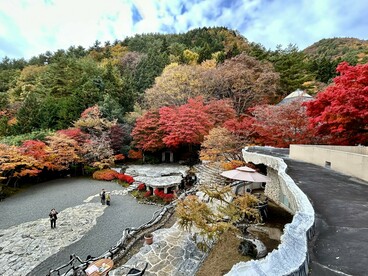Aerial view  from the museum café of lower ground stage, main building, and thicket of autumn trees, Itchiku Kubota Art Museum ©Alma Reyes