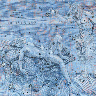 Fosca, Tigriz gaudens, 2021. Courtesy of Maja Arte Contemporanea