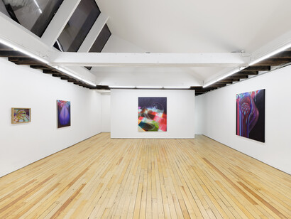 Nianxin Li, Neon haze, exhibition view. Courtesy of Uffner & Liu Gallery