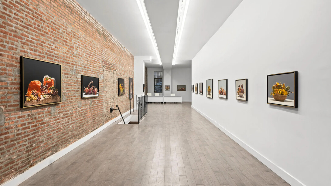 Luciano Ventrone, Legacy, exhibition view. Courtesy of Friedrichs Pontone