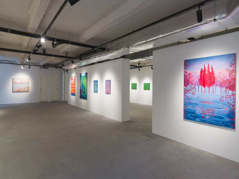 Dear Door Scan 24 Vf Dear world | Meer