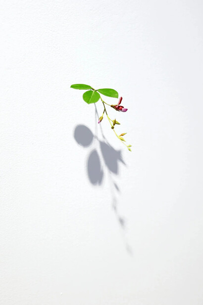 Suda Yoshihiro, exhibition view. Courtesy of Mignoni Gallery