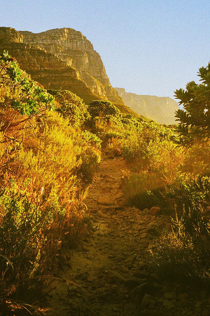 A trail towards the Twelve Apostles, Cape Town, photographed by Jade Stephens