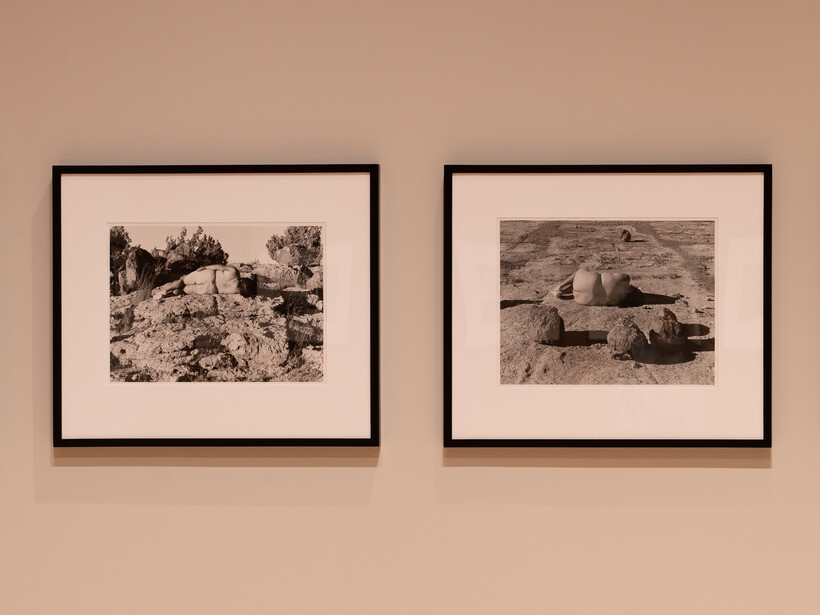 Nudes in nature | Meer