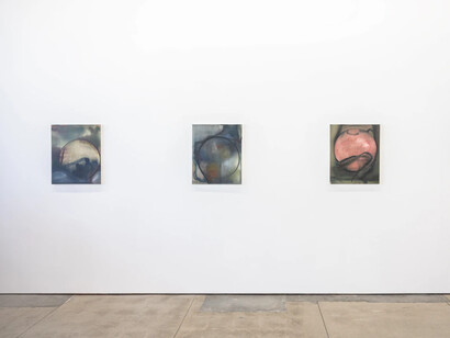 Robert Gunderman, Being home, exhibition view. Courtesy of Wilding Cran Gallery