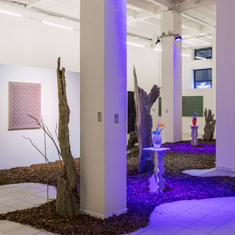 Tomáš Žemla, Off the beaten track, exhibition view. Courtesy of the Chemistry Gallery. Photo by Petr Kopal