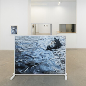 Philipp Fröhlich, La cavale, vista de exhibición. Cortesía de la Galería Juan Silió 