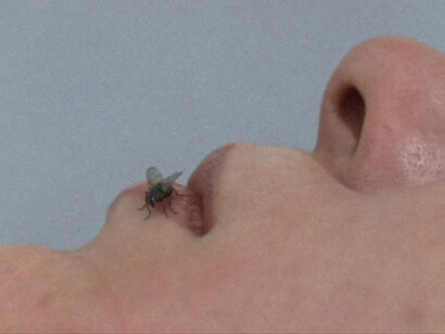 Yoko Ono, Fly (still), 1970–71. Courtesy of MCA Chicago