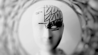 A photo of a sculpted head bust artwork labeled with different parts of the brain