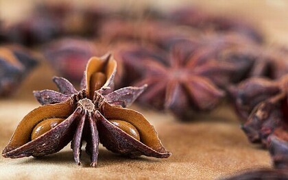 Anethole, an organic compound found in the essential oils of plants like anise, fennel, and star anise, could be used to enhance the effectiveness of cancer treatment.