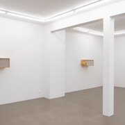Henrik Håkansson, An ideal for living (The insect societies, prototype), ausstellungsansicht. Mit freundlicher genehmigung der Galerie Meyer Riegger