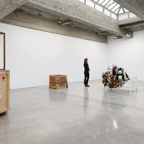 Mark Dion, exhibition view. Courtesy of Tanya Bonakdar Gallery