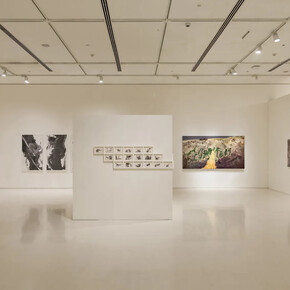 Vishal Kumar Gupta, Field notes (On the afterlife of trees), exhibition view. Courtesy of Emami Art