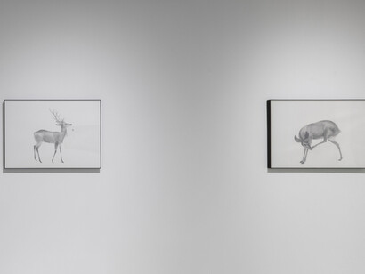 Tang Hui, Forms and scenery, exhibition view. Courtesy of Tokyo Gallery + BTAP