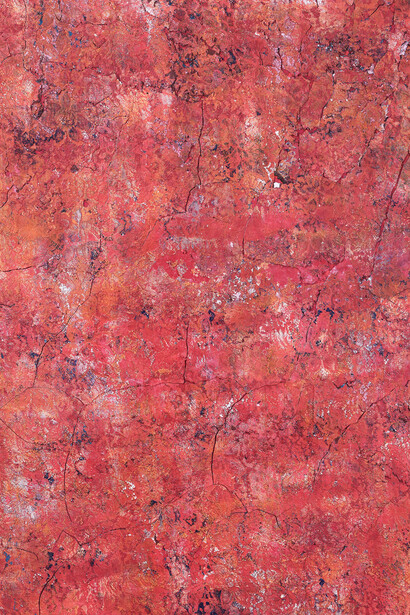 Kanchana Gupta, Open and close #31, 2025. Courtesy the artist and Sullivan+Strumpf. Photography by Jing Wei