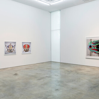 María Fernanda Cardoso, Maratus: spiders of paradise, exhibition view. Courtesy of Sicardi | Ayers | Bacino