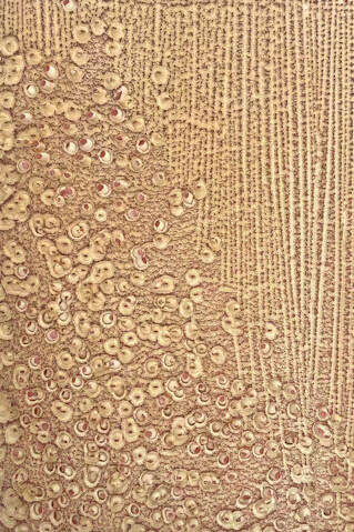 Dominique De Beir, Alteration (detail), 2020. Courtesy of Hopstreet Gallery