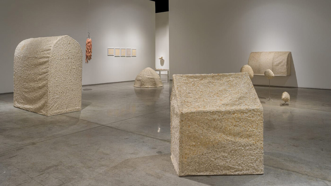 Richi Bhatia, Antevasin, the one who sits at the border of two worlds, exhibition view. Courtesy of Gallery Isabelle Van Den Eynde