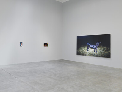 Sam McKinniss, Law and order, exhibition view. Courtesy of Jeffrey Deitch Gallery