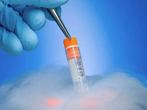 Existe una mayor conciencia sobre la importancia de planificar la maternidad con tiempo, en función de las necesidades individuales