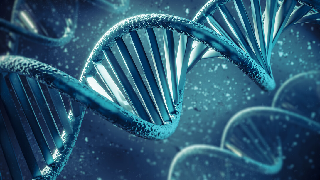 Dans l’enchaînement silencieux de l’ADN se joue l’articulation du hasard et de la nécessité : une information née de rencontres contingentes, mais dont l’ordre gouverne la fabrication du vivant