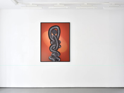 Various artists, Promotion 2021 : La Résidence｜Le Tremblay, exhibition view. Courtesy of Galerie Christophe Gaillard