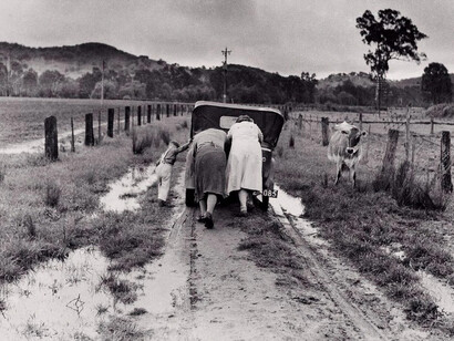 Jeff Carter, Tobacco road, Ovens Valley, 1956. Courtesy of Art Gallery of NSW