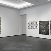 Marc De Blieck, Point de voir, vue d'exposition. Avec l'aimable autorisation du S.M.A.K.