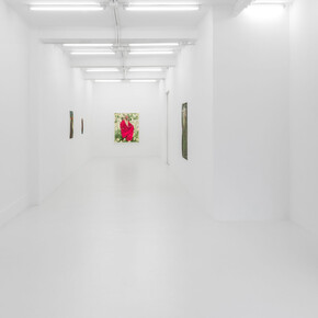 Iris van Dongen, To be at home in the world, vista de exhibición. Cortesía de Casado Santapau Gallery