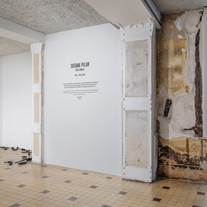 Susana Pilar, Not alone, vue de l'exposition. Avec l'aimable autorisation de la Galleria Continua