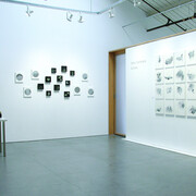 Seiko Tachibana, Echoes, exhibition view. Courtesy of Themes+Projects