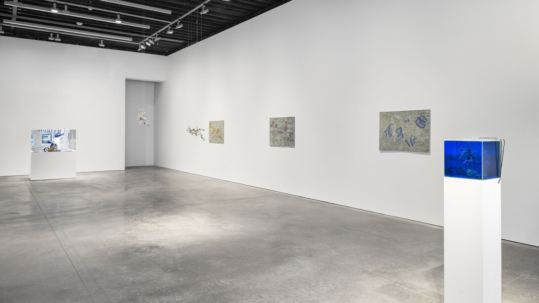 Agnieszka Kurant, Recursion, exhibition view. Courtesy of Marian Goodman Gallery