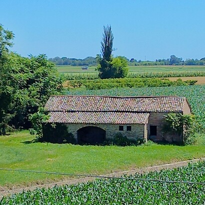 Mariella Busi de Logu, Le case mi sorridono