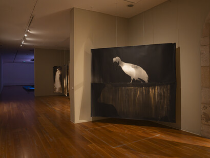 Roberto Huarcaya, Interstices. Photograms 2014-2025, exhibition view. Courtesy of MARCO