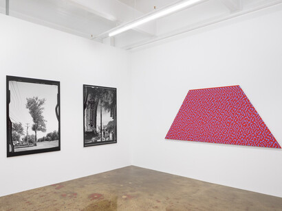 Daniel Temkin, exhibition view. Courtesy of Higher Pictures