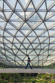 Biophilic design architecture, Singapore, Changi Airport
