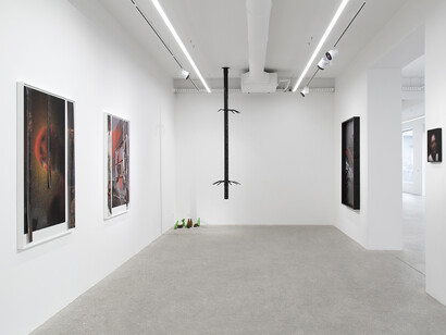 Nicolas Lebeau, Would you wear my eyes? Exhibition view. Courtesy of Kamel Mennour Gallery