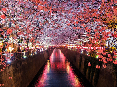 La beauté tranquille du Japon s'invite dans chaque recoin, offrant à ses visiteurs un voyage sensoriel entre la culture et la nature, à iRasshai, l'expérience se prolonge au-delà de la simple visite