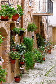 Vicolo fiorito di Spello