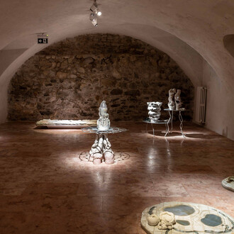 Katarína Bajkayová, Prunus perisca, exhibition view. Courtesy of the Bratislava City Gallery