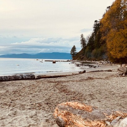 A view of Point Grey from Wreck Beach, Vancouver, Canada