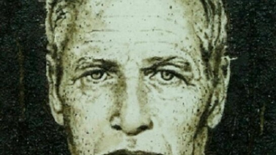 Enzo Fiore, Paul Newman, 2010, tecnica mista(resina, foglie, radici..) su tela, cm 160x120
