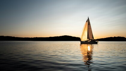 Occhi blu, profondi come il mare che circonda l’isola: osserva in silenzio