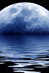 How many words are there in the languages we think and speak on?