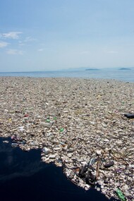 Grazie all’intelligenza artificiale, i ricercatori possono analizzare enormi quantità di dati oceanici, accelerando i tempi di studio e aumentando la precisione delle previsioni ambientali. In copertina l'isola di spazzatura più grande del pianeta, nota come Great Pacific Garbage Patch, si trova nell'Oceano Pacifico tra California e Hawaii ed è un'enorme massa galleggiante di rifiuti plastici che copre un'area stimata di oltre 1,6 milioni di chilometri quadrati, minacciando gravemente la vita marina e l'ecosistema oceanico