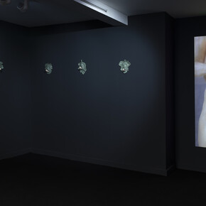 Ai Ozaki, Fig leaves, exhibition view. Courtesy of Annet Gelink Gallery
