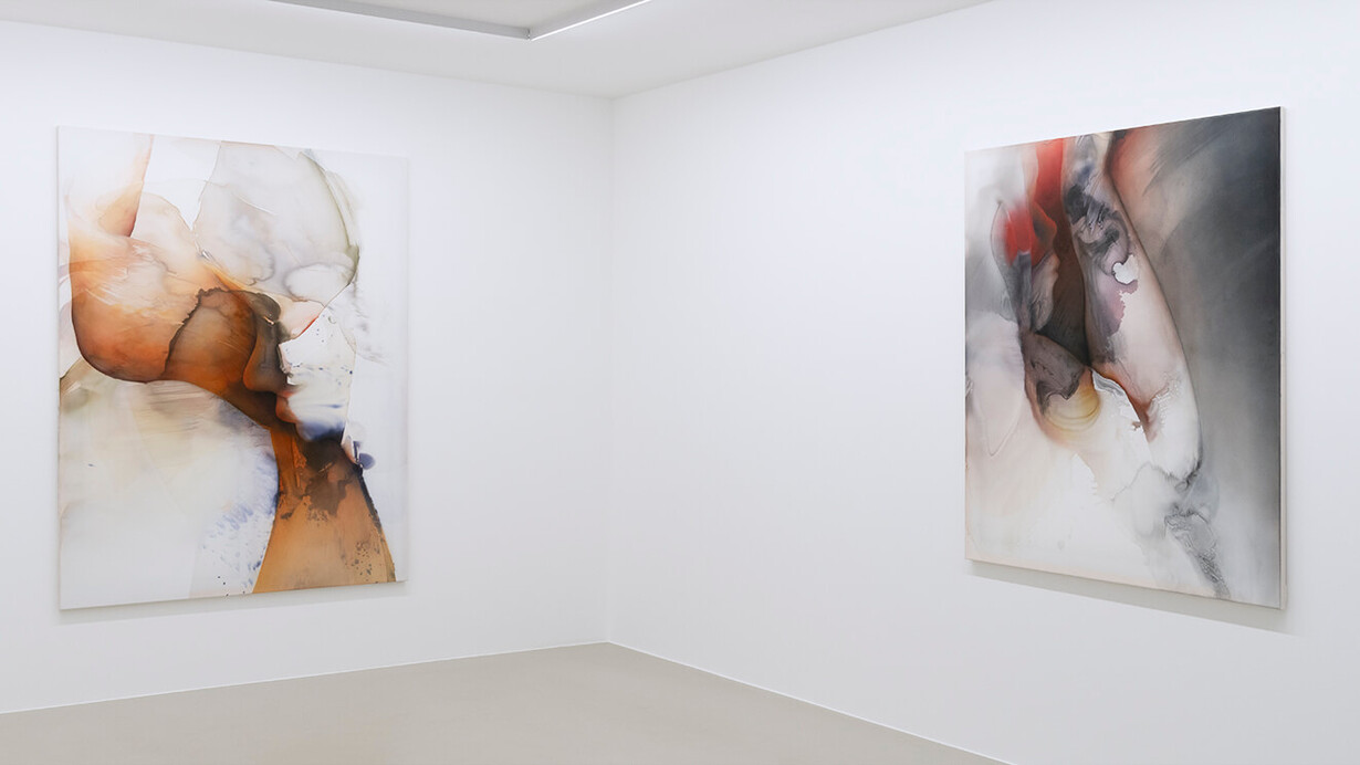 Natascha Schmitten, Lamina, ausstellungsansicht. Mit freundlicher genehmigung der Galerie Christian Lethert